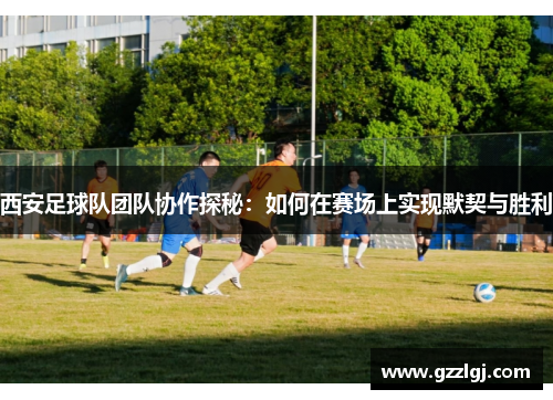 西安足球队团队协作探秘：如何在赛场上实现默契与胜利