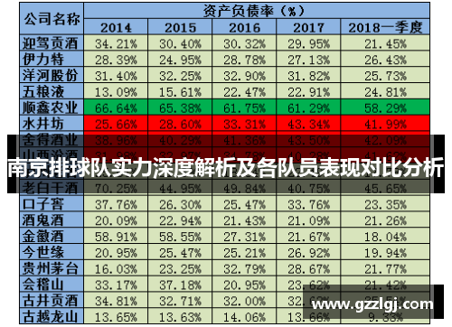 南京排球队实力深度解析及各队员表现对比分析